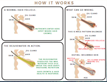 Load image into Gallery viewer, SHADE & SHINE - Brow & Lash Rejuvenator